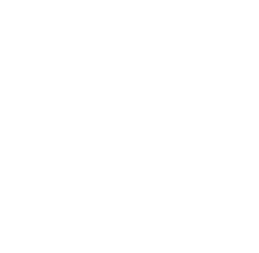 HLS Accounting